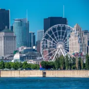 Cash flow planning and tax planning